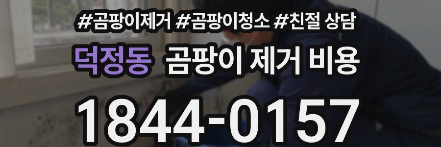 덕정동 곰팡이 제거 비용
