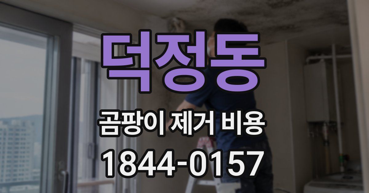 덕정동 곰팡이 제거 비용