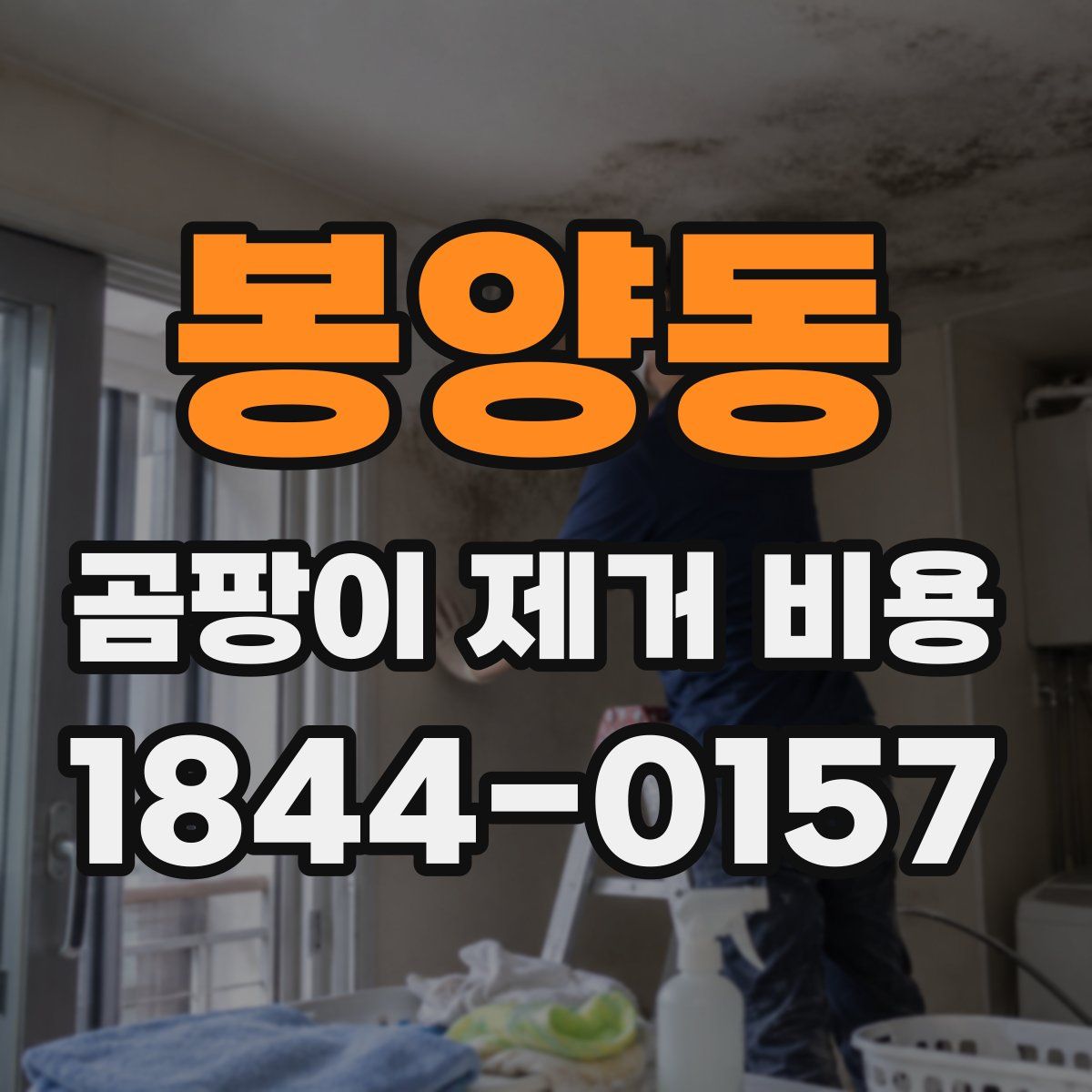 봉양동 곰팡이 제거 비용