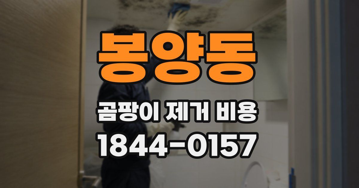 봉양동 곰팡이 제거 비용
