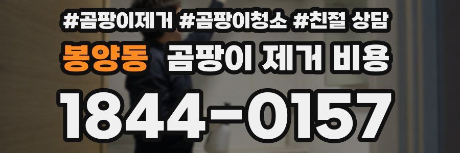 봉양동 곰팡이 제거 비용