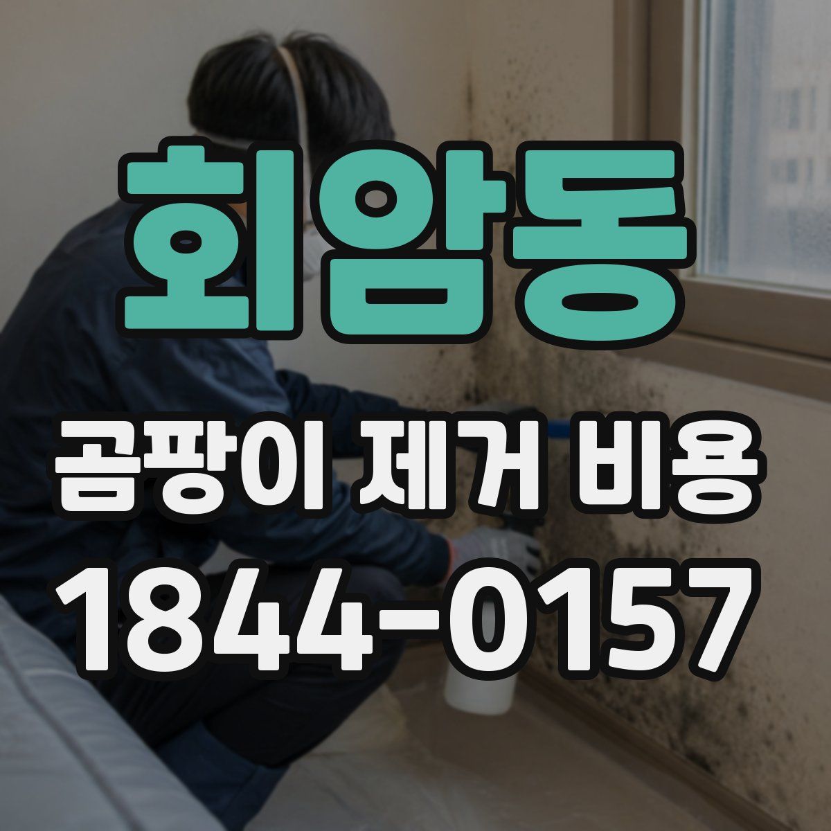 회암동 곰팡이 제거 비용