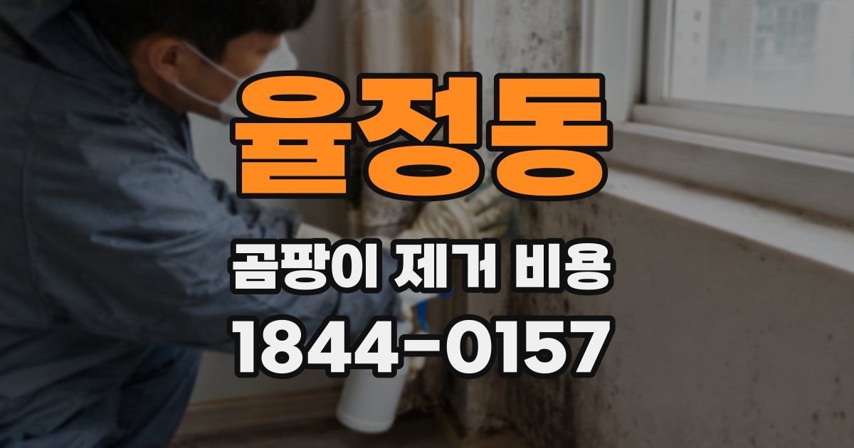 율정동 곰팡이 제거 비용