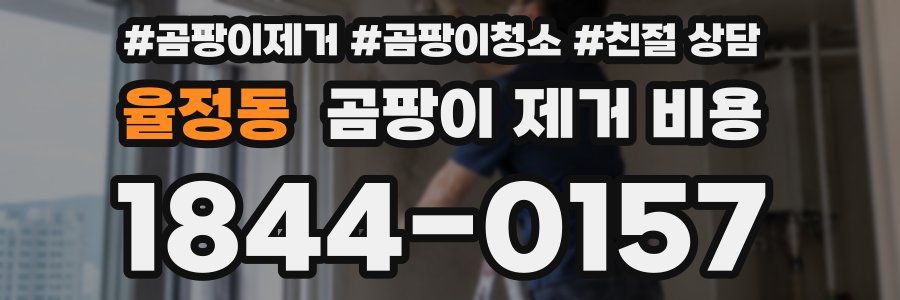 율정동 곰팡이 제거 비용