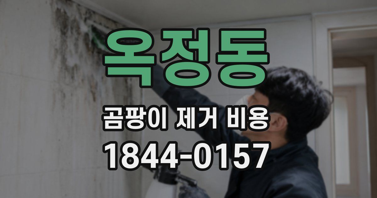옥정동 곰팡이 제거 비용