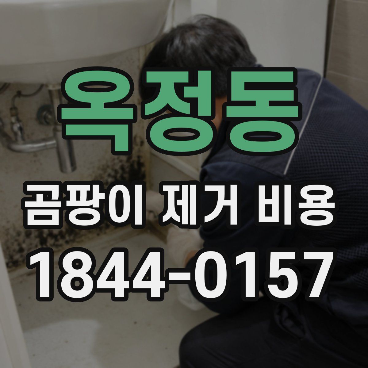 옥정동 곰팡이 제거 비용