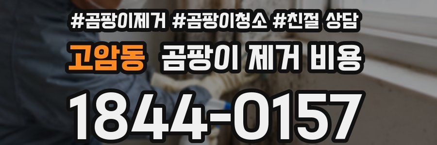 고암동 곰팡이 제거 비용