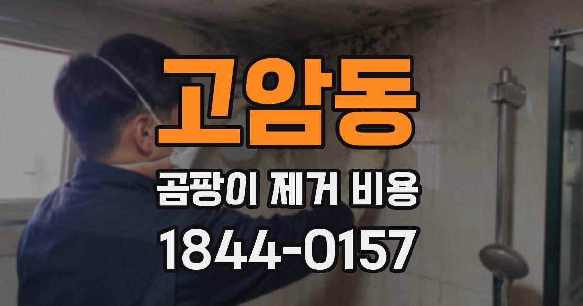 고암동 곰팡이 제거 비용