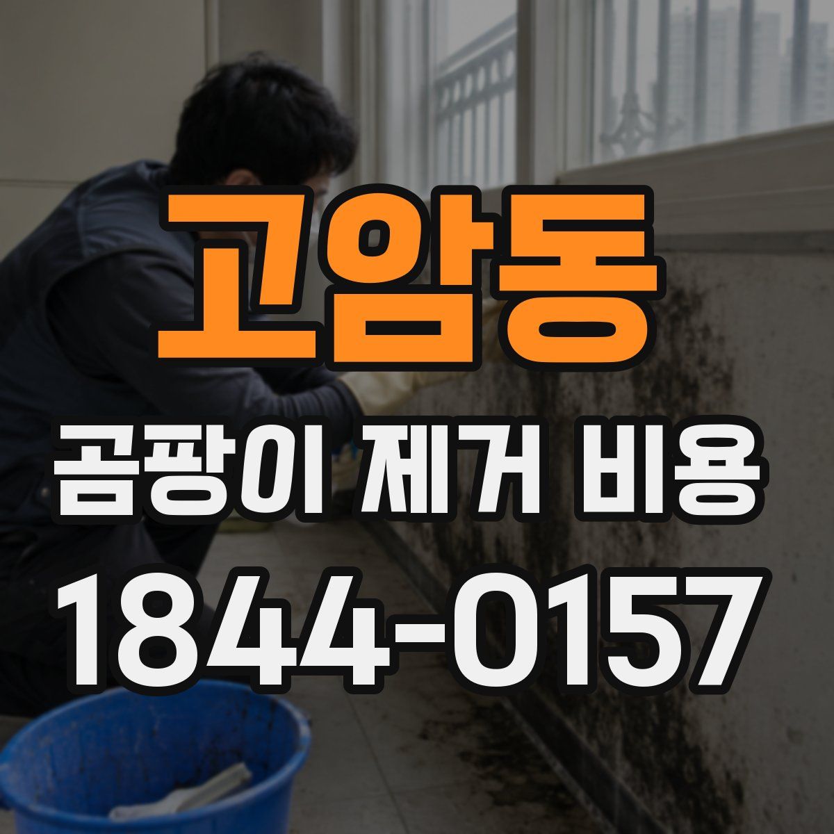 고암동 곰팡이 제거 비용