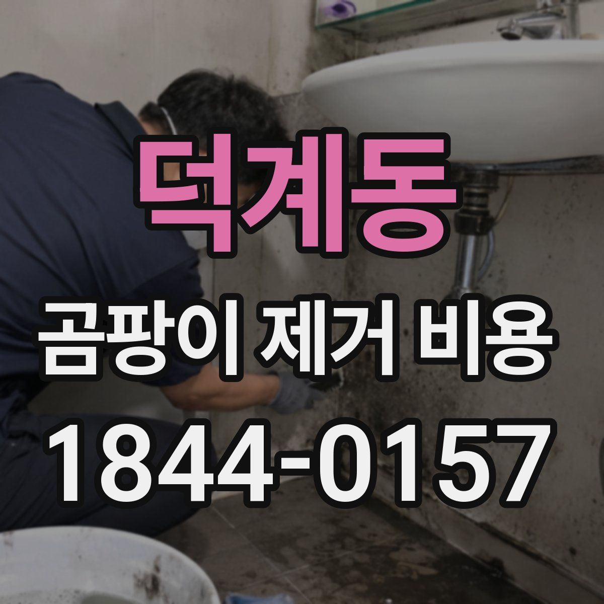 덕계동 곰팡이 제거 비용