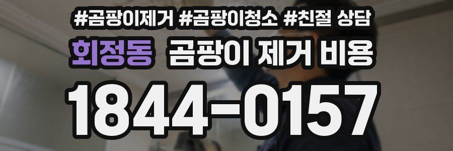 회정동 곰팡이 제거 비용