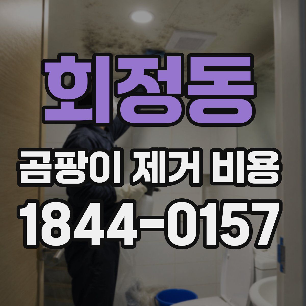 회정동 곰팡이 제거 비용