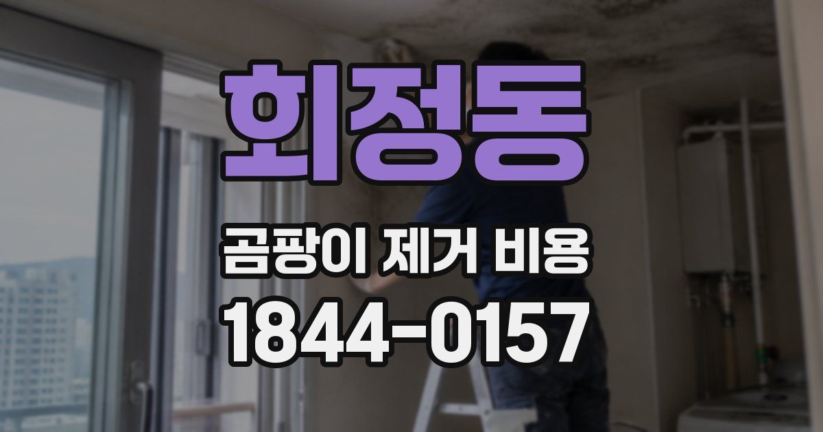 회정동 곰팡이 제거 비용