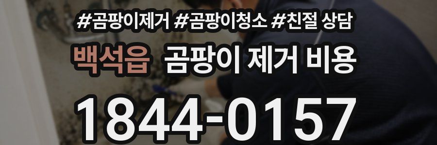 백석읍 곰팡이 제거 비용