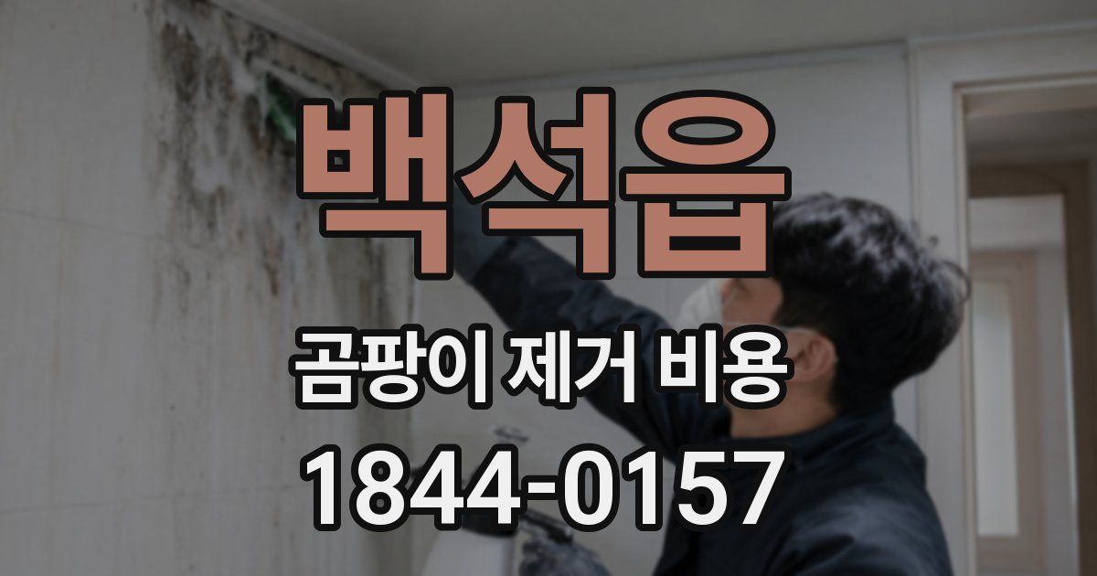백석읍 곰팡이 제거 비용