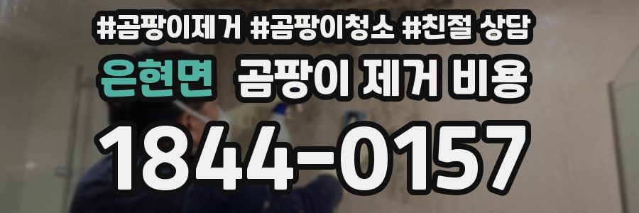 은현면 곰팡이 제거 비용