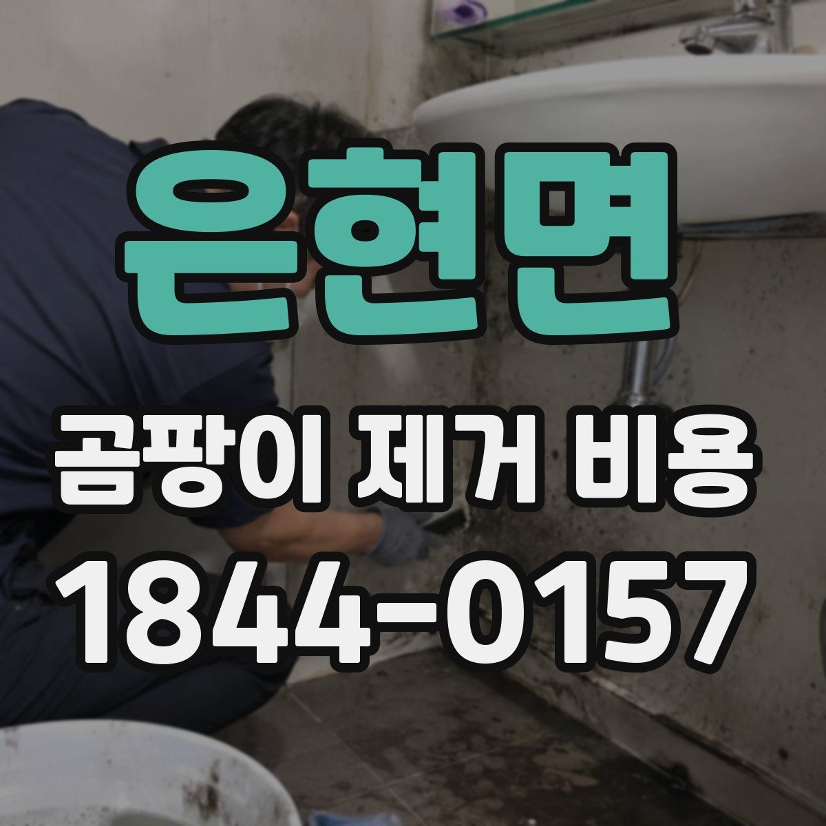은현면 곰팡이 제거 비용