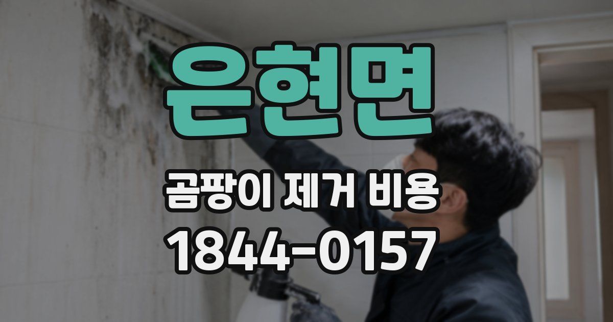 은현면 곰팡이 제거 비용