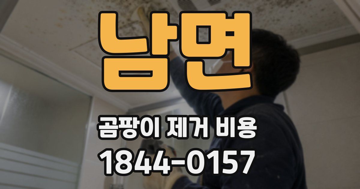 남면 곰팡이 제거 비용