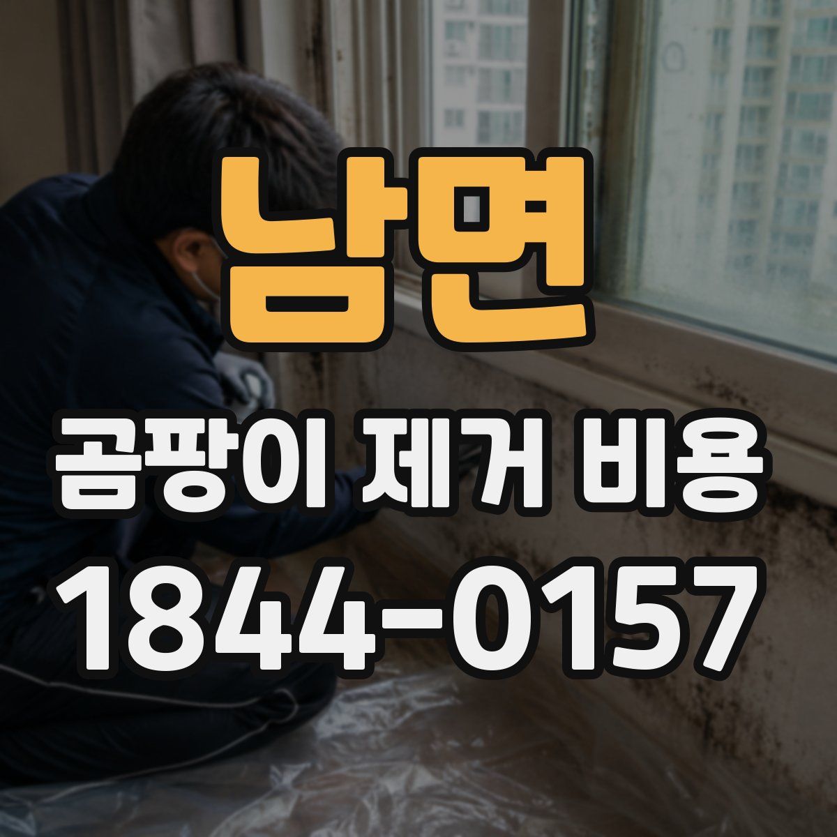 남면 곰팡이 제거 비용