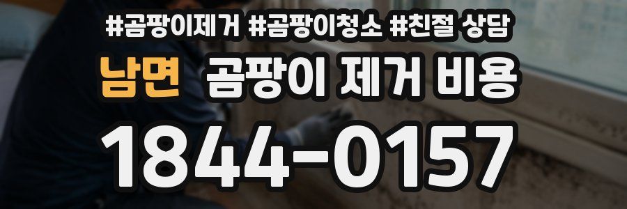 남면 곰팡이 제거 비용
