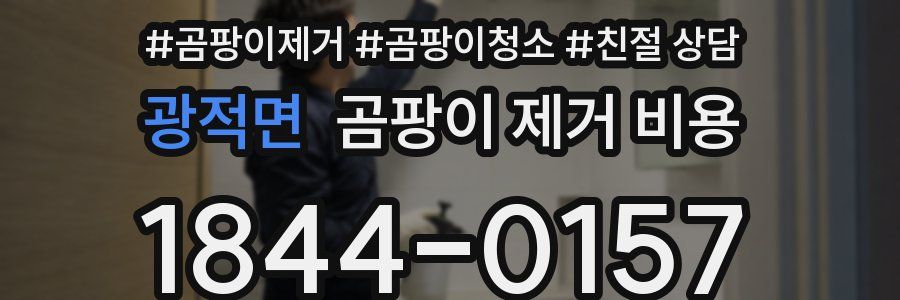 광적면 곰팡이 제거 비용