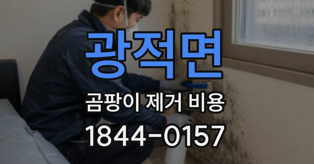 광적면 곰팡이 제거 비용