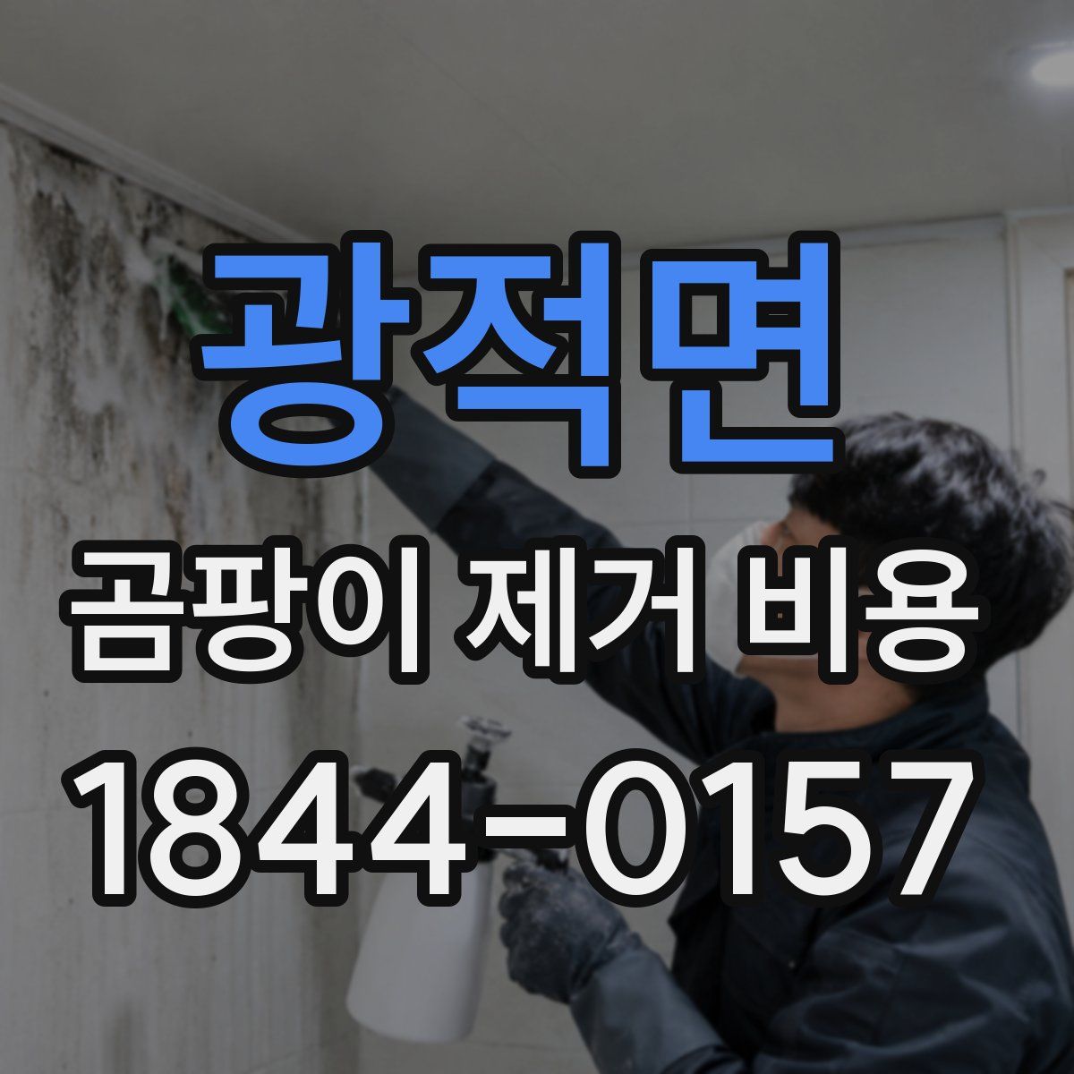 광적면 곰팡이 제거 비용