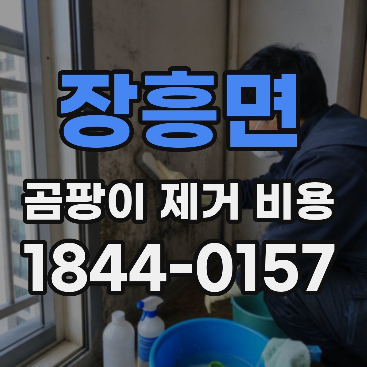 장흥면 곰팡이 제거 비용 방 종류에 따라 작업이 달라지는 이유