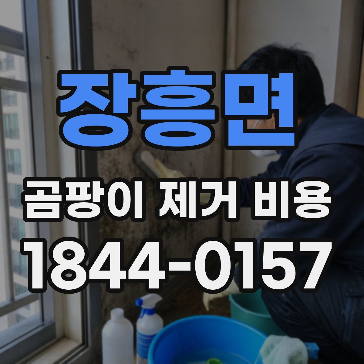 장흥면 곰팡이 제거 비용