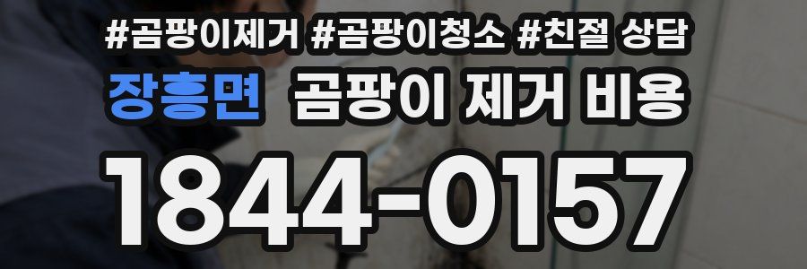 장흥면 곰팡이 제거 비용