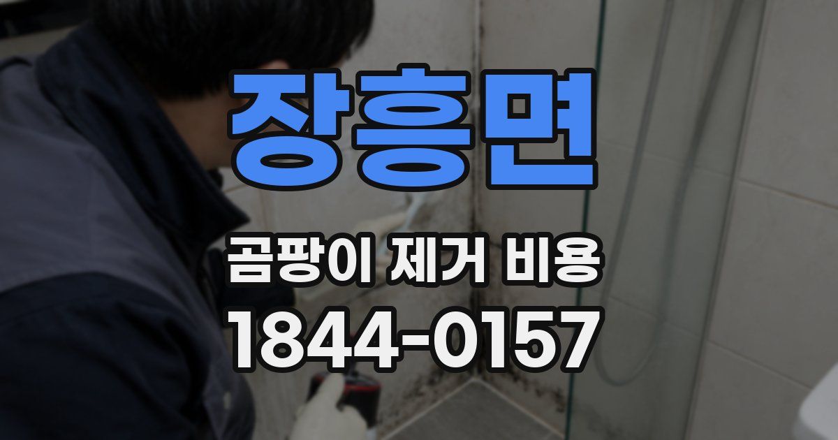 장흥면 곰팡이 제거 비용