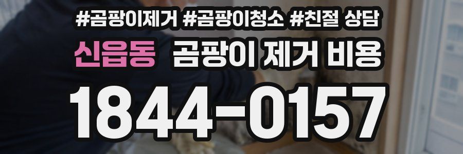 신읍동 곰팡이 제거 비용