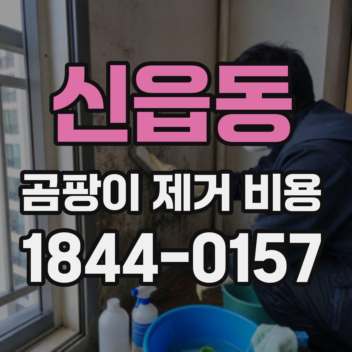 신읍동 곰팡이 제거 비용