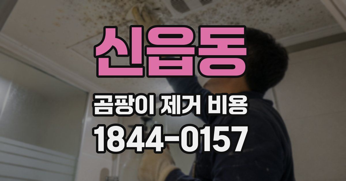 신읍동 곰팡이 제거 비용