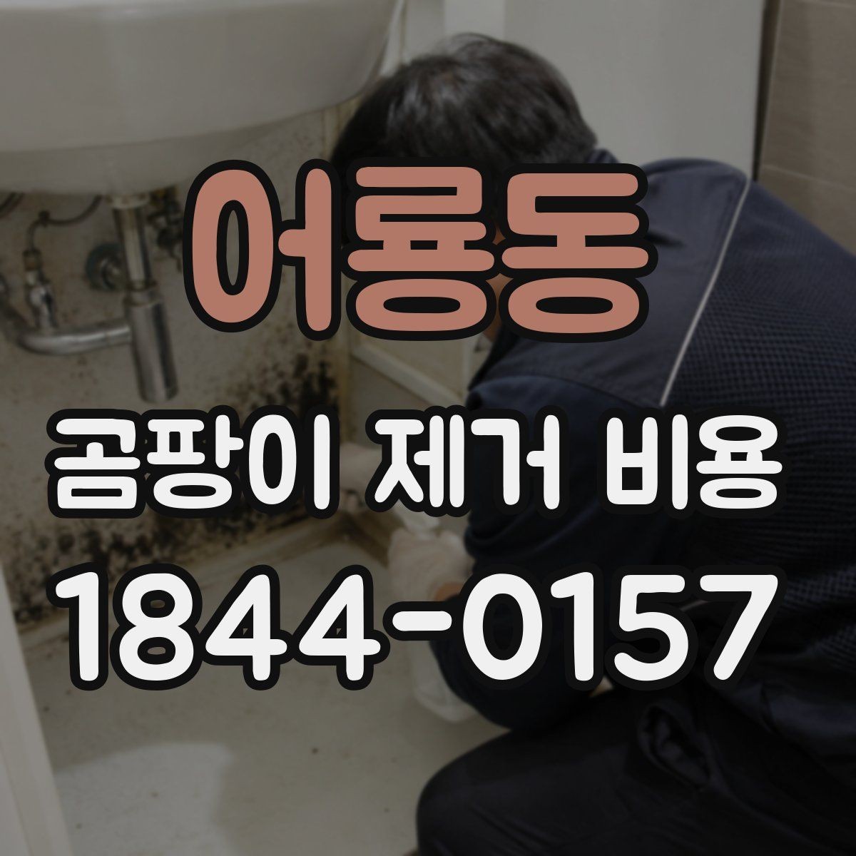어룡동 곰팡이 제거 비용 문의 전 체크리스트