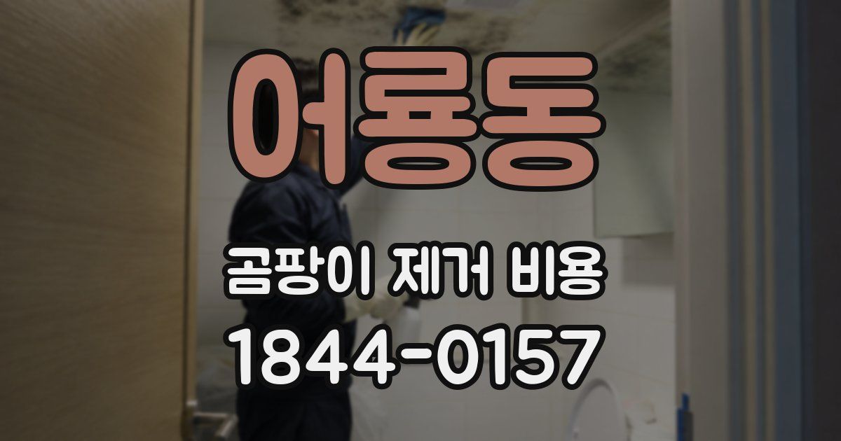 어룡동 곰팡이 제거 비용