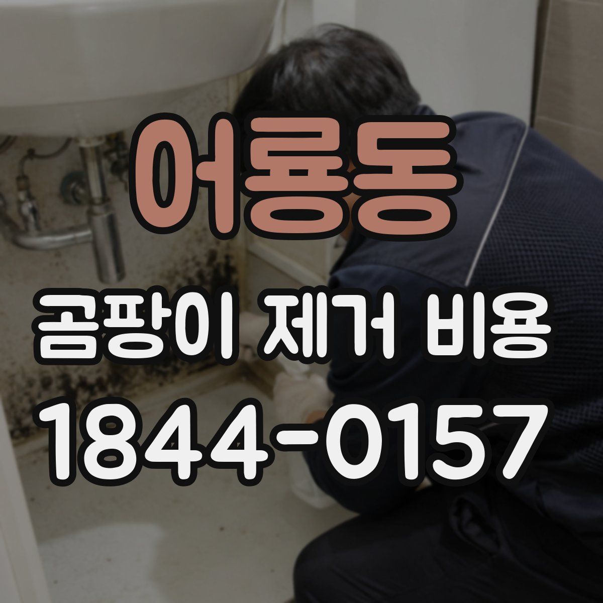 어룡동 곰팡이 제거 비용