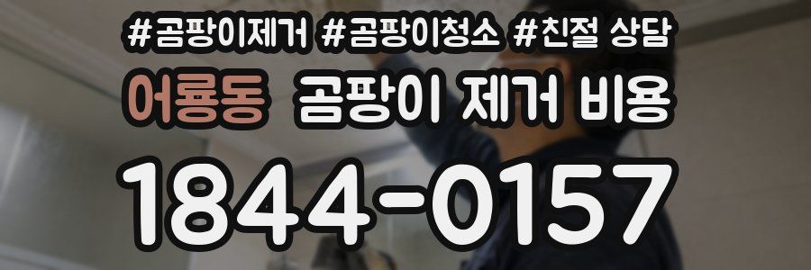 어룡동 곰팡이 제거 비용