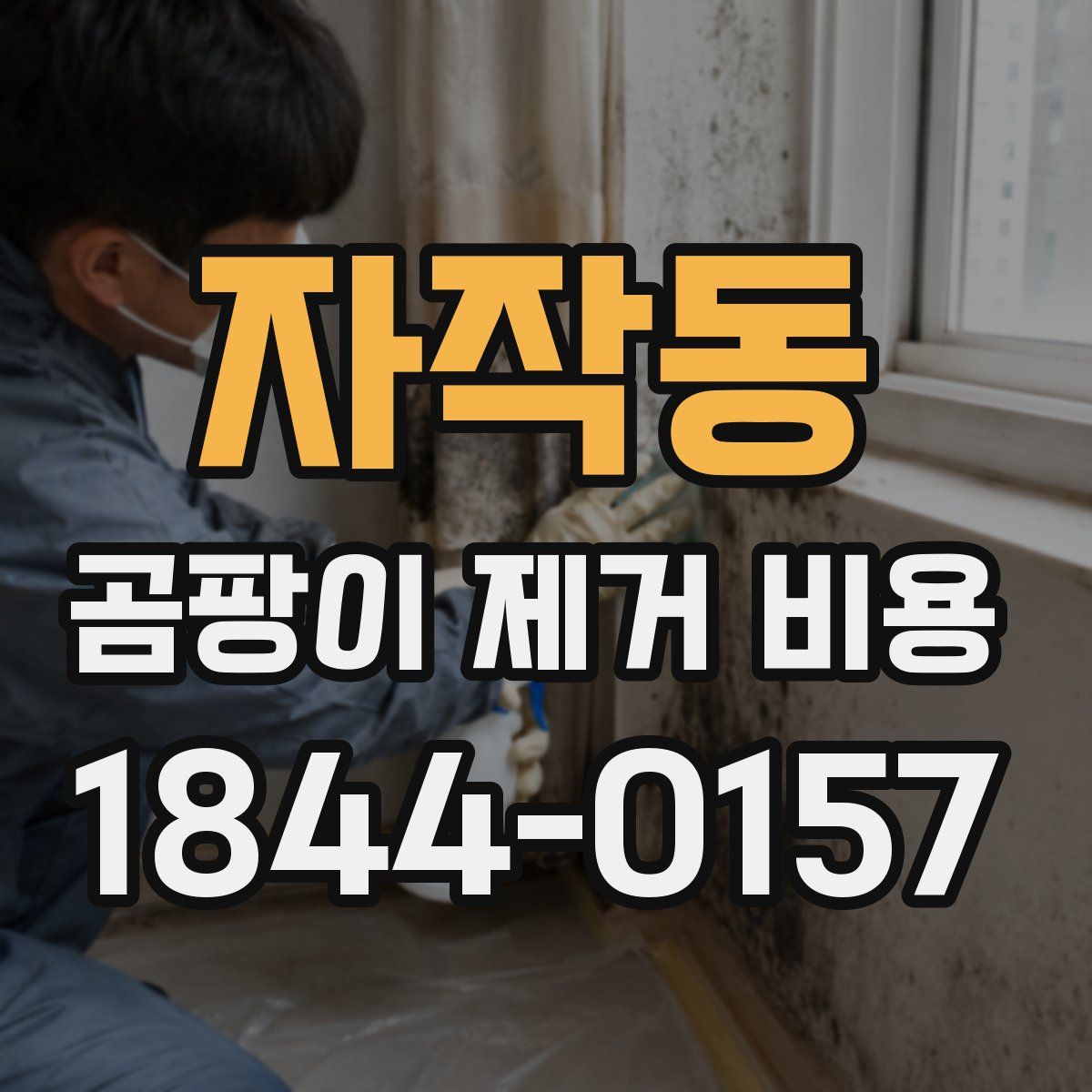자작동 곰팡이 제거 비용