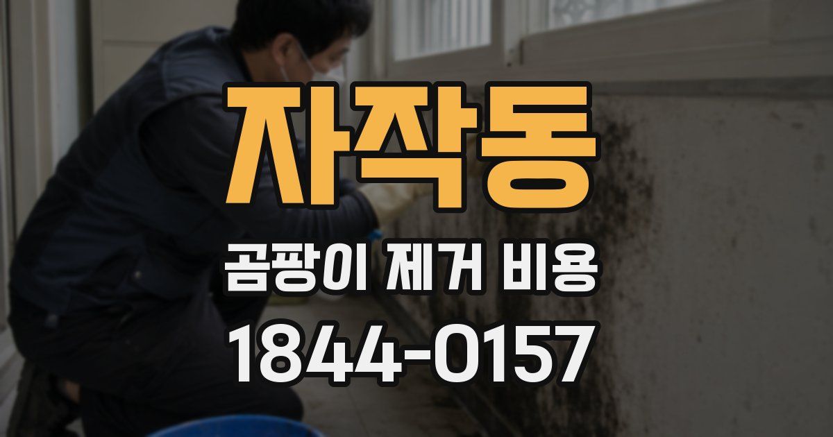 자작동 곰팡이 제거 비용