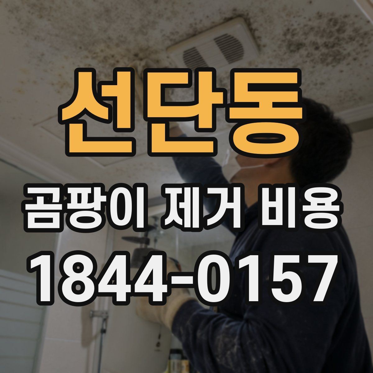 선단동 곰팡이 제거 비용 상담에서 빠지기 쉬운 항목