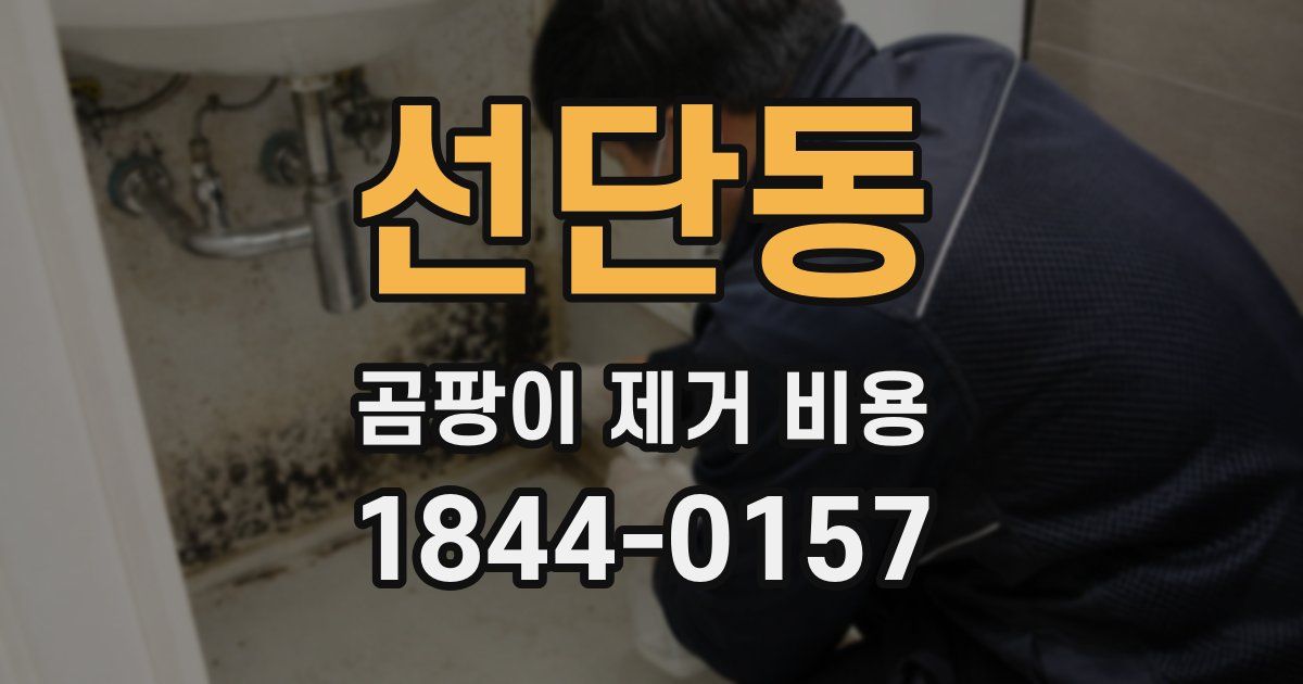 선단동 곰팡이 제거 비용