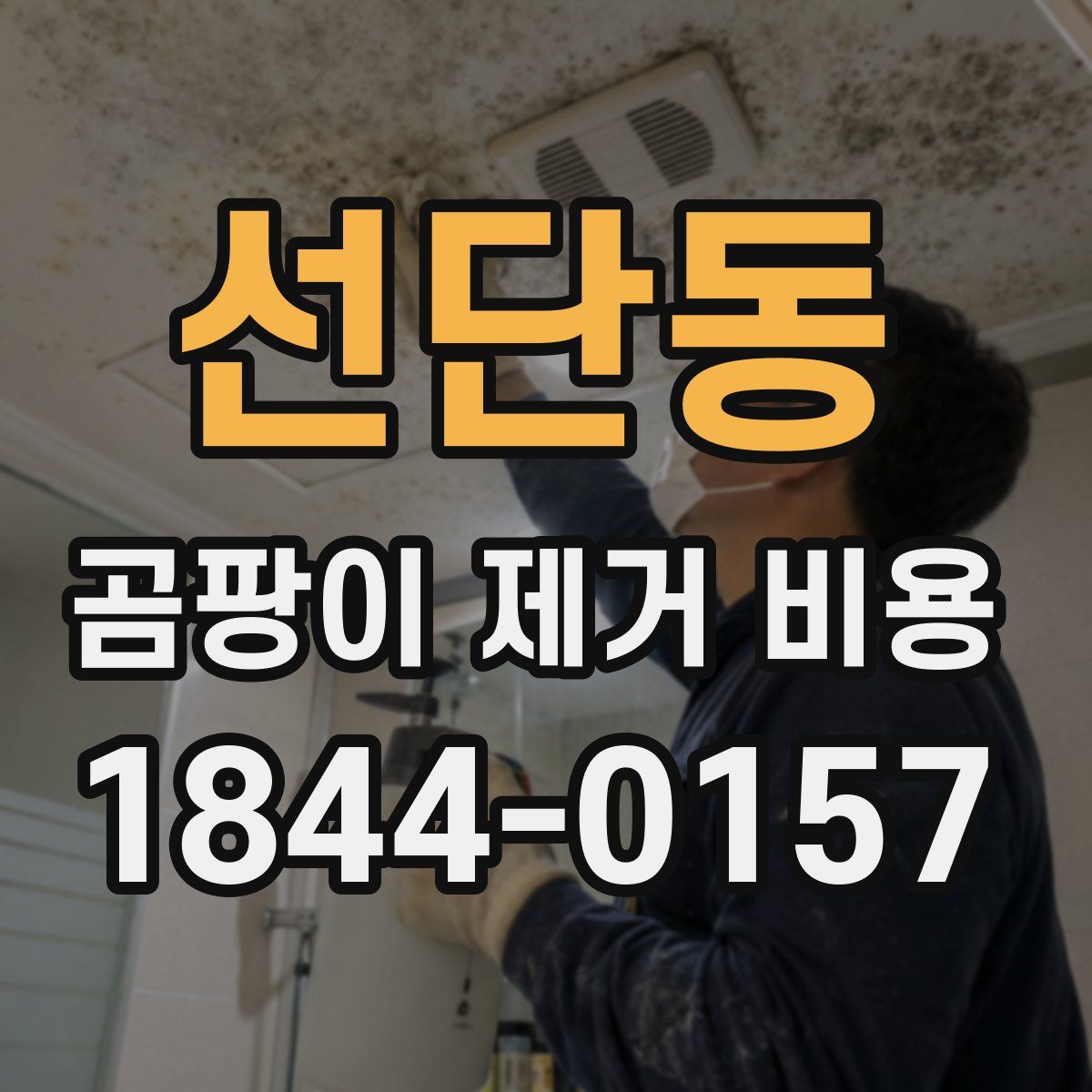 선단동 곰팡이 제거 비용