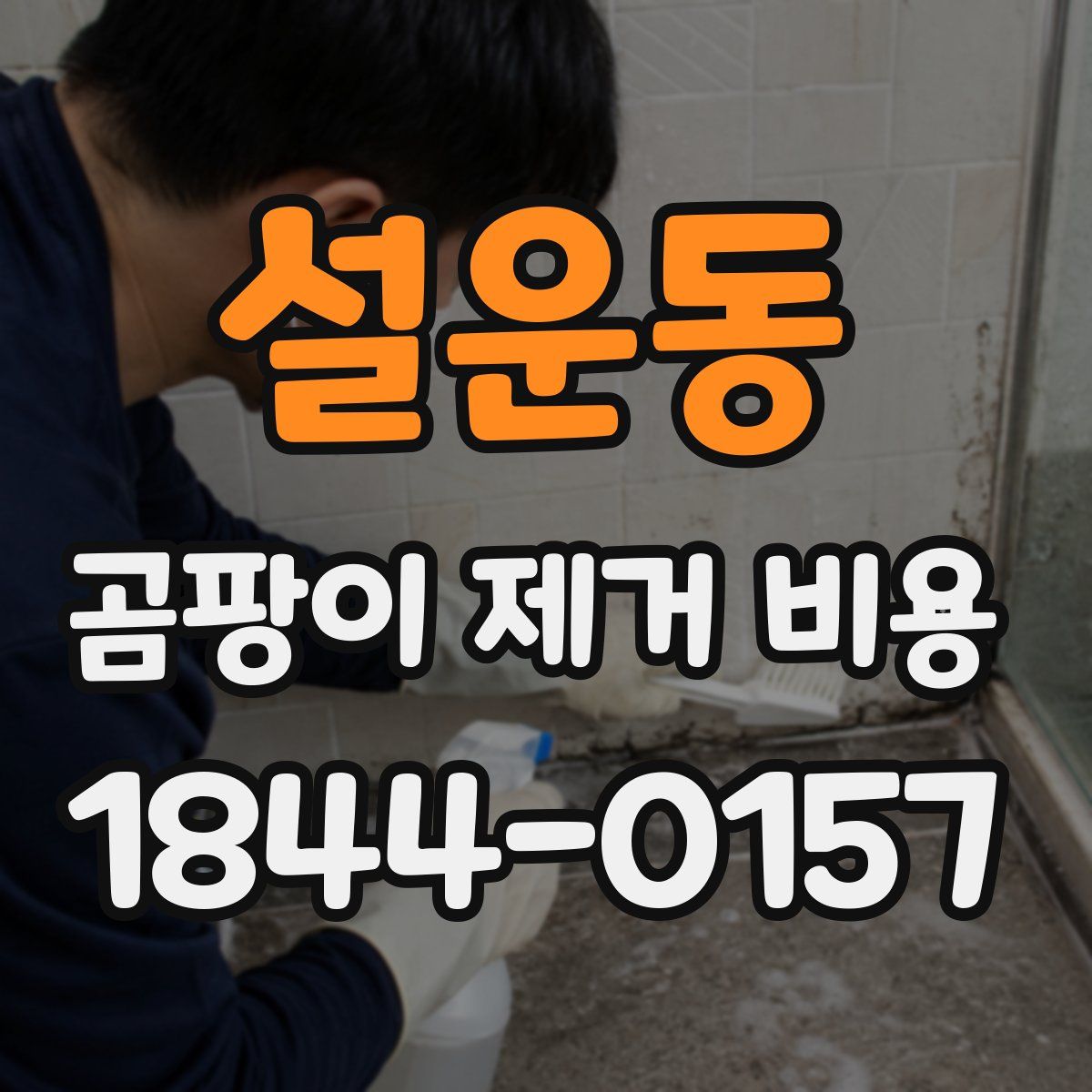 설운동 곰팡이 제거 비용