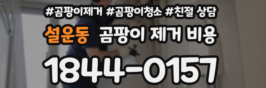 설운동 곰팡이 제거 비용