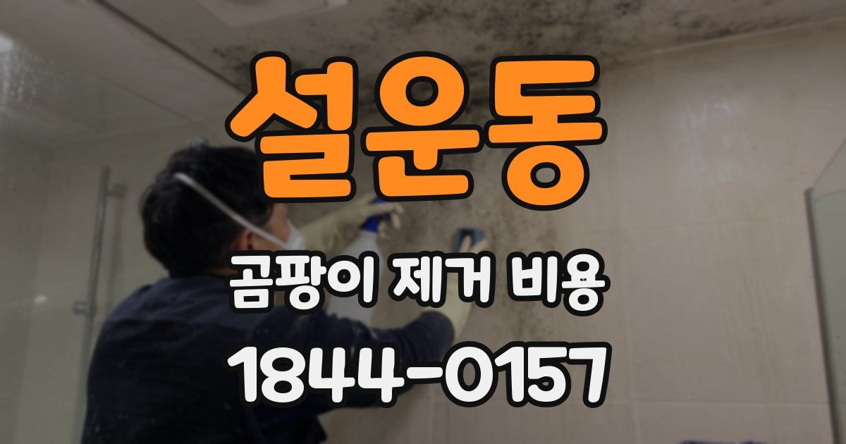설운동 곰팡이 제거 비용