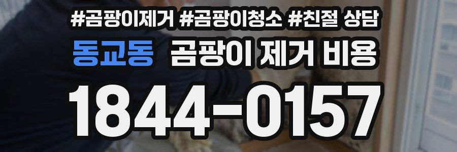 동교동 곰팡이 제거 비용