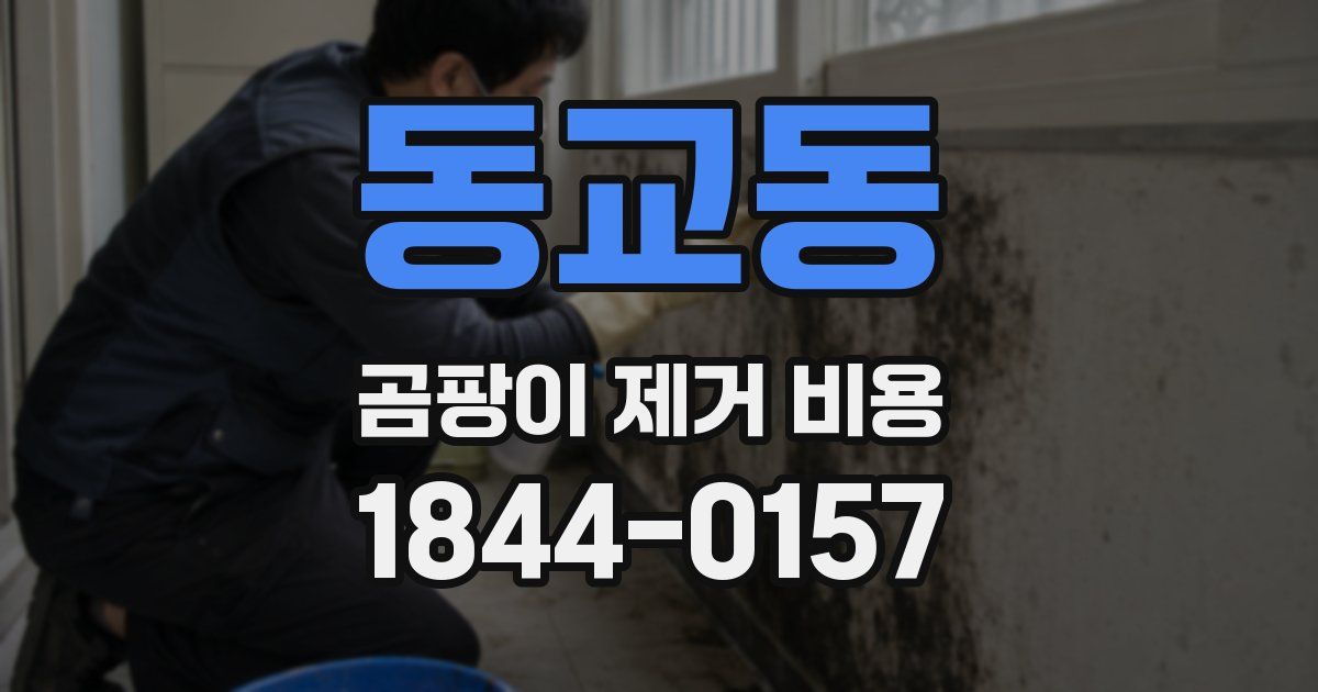 동교동 곰팡이 제거 비용