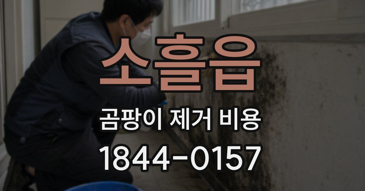 소흘읍 곰팡이 제거 비용
